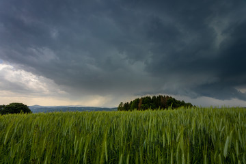 supercell dark clouds rain. over the green field