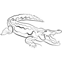 Crocodile one line drawing. Line Art Alligator Vector Illustration