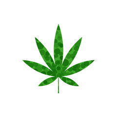 cannabis leaf vector