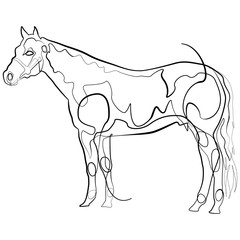 Horse one line drawing. Line Art Riding Vector Illustration