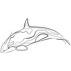Orca Whale one line drawing. Line Art Sea Animal Vector Illustration