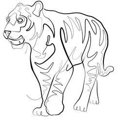 Tiger one line drawing. Line Art Animal Vector Illustration