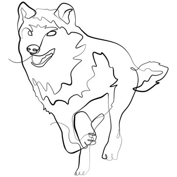 Wolf one line drawing. Line Art Husky Vector Illustration