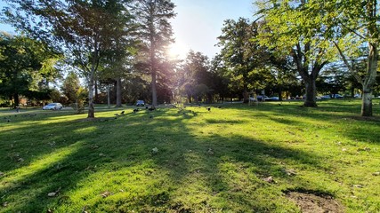 path in park