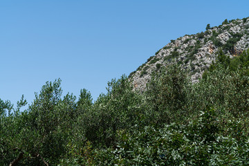 The island of Hvar