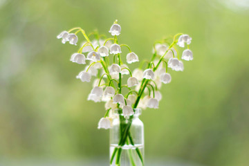 Whites flowers in a vase on bokeh background with sunlight pattern. Postcard concept