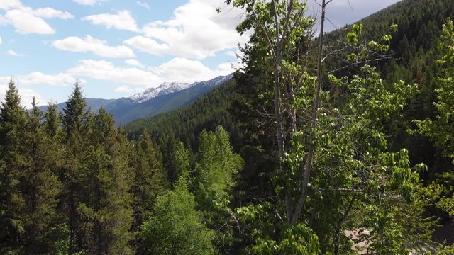 Aerial shot of east Glacier Park, camera ascends up through the trees revealing the Flathead river, train tracks, and snow capped mountain in the background.