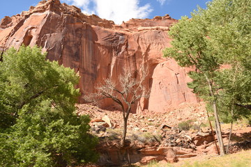 landscape on the Goblin state park in the united states of america
