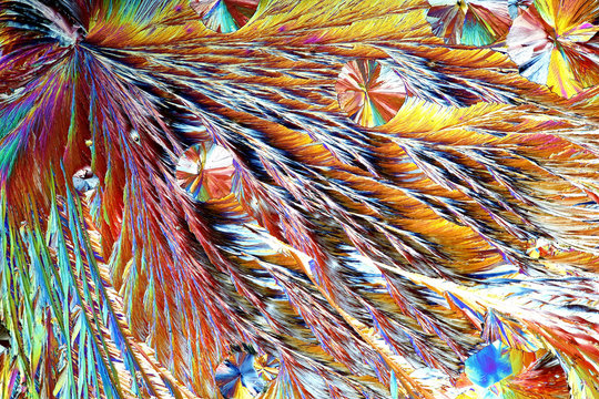 Crystals of citric acid, microscope image