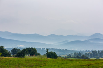 Fototapeta na wymiar Beautiful landscape with meadow and hills in Slovenia