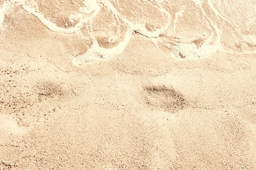 Sand Background. Soft wave on sandy beach. Summer  Vacation concept.