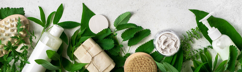 Natural skincare and leaves - obrazy, fototapety, plakaty