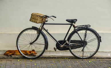 Old bicycle at rural house