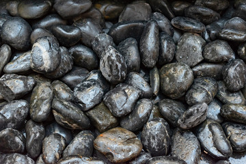 Stock photo wet black shiny stones