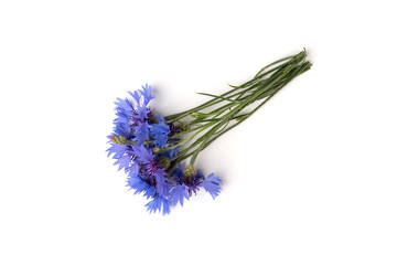 Fototapeta premium Blue cornflowers isolated on white background.