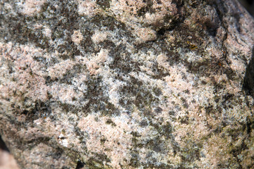 Stone background