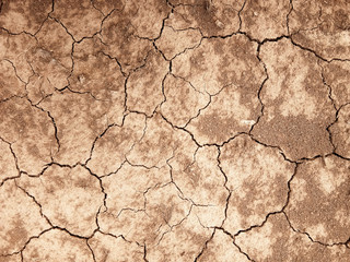 The ground has cracks in the top view for the background
