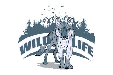 typography slogan wild life with wolf illustration, used for printing on t shirt, vector graphics to design