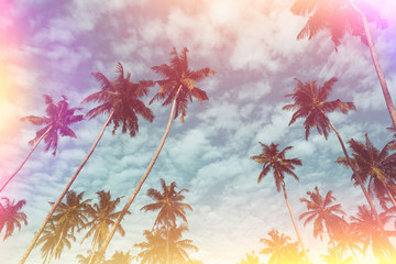Fototapeta na wymiar Coconut palm trees on tropical beach vintage film flare leaks toned
