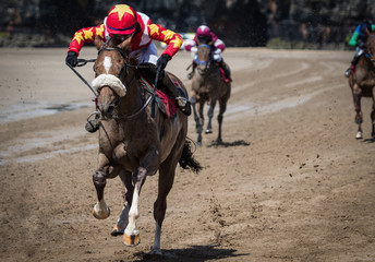 galloping race horses and jockey in action on the beach