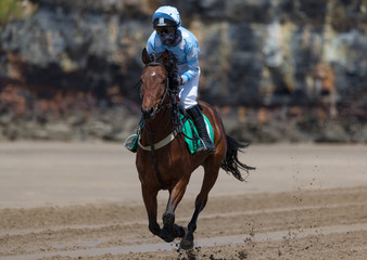 Galloping race horse and jockey on the beach, Horse racing action on the beach