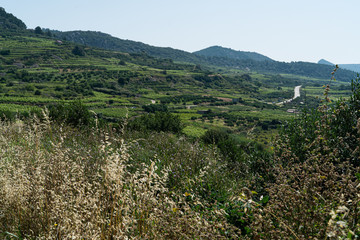 The island of Hvar