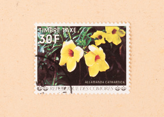 COMOROS - CIRCA 1980: A stamp printed in the Comoros islands shows a flower, circa 1980