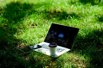 Coffee break outdoors. Summer park. Work and relax in natural environment. Its coffee time. Coffee...