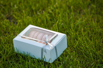 Cardboard white gift box with colorful handmade macaron cookies on green grass lawn background.