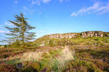 Fototapeta na wymiar Trail to Great Wanney Crag, on the edge of Northumberland National Park, is a remote escarpment popular for rock climbing and walking