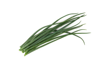 Green onion isolated on white background.