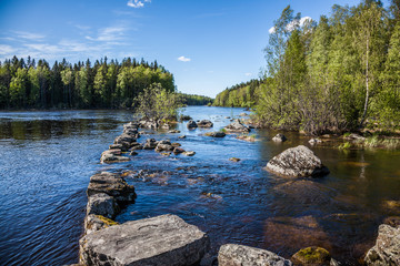 Summer landscape - lake on a Sunny summer day