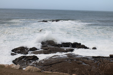 waves crashing on rocks