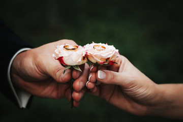 Couple holding two wedding rings placed on the roses. Close up image.