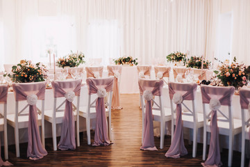 Wedding interior with row of chairs decorated with pink 