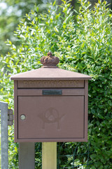 Metal Post Box in Germany in the Garden