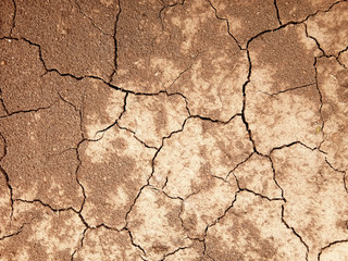 The ground has cracks in the top view for the background