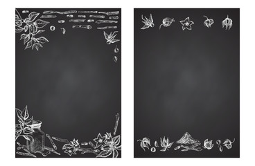 Naklejka premium Ashwagandha hand drawn border frame pattern with berries, lives and branch in white chalk color on black chalkboard background.