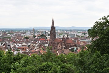 Freiburger Münster