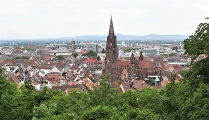 Obraz premium Freiburger Münster