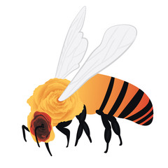 A bee vector illustration 