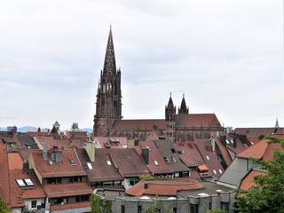 Fototapeta premium Freiburger Münster