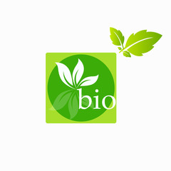 Bio Product, doodle organic leaves emblems, stickers, frames and logo