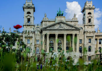 Fototapeta na wymiar 12.06.2019. Hungary, Budapest. A historical sight, parliament in the downtown. Architecture. A glade with poppies and greens.