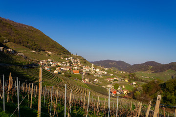 Valdobbiadene colline Prosecco