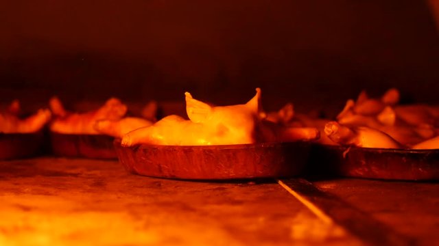 Spanish suckling pig being cooked in a wood fire oven.