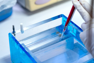 Molecular technique gel electrophoresis for DNA sample method decrypt the genetic code.