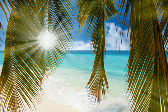 Sonnenschein am Traumstrand mit Palme