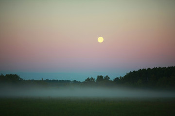 beautiful morning landscape of summer nature with fog and moon