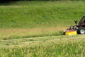 small tractor with mower in front cutting a steep hillside wildflower meadow in the Alps for hay